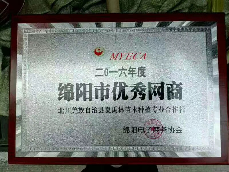 获得优秀网商